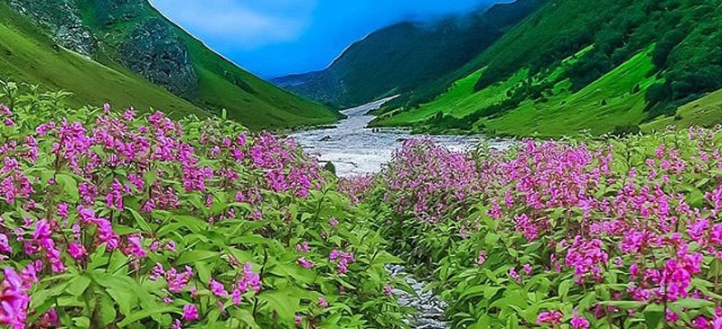 valley-of-flower-trek-uttarakhand-package1.jpg